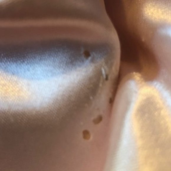 ENCHANTED EVENING BARBIE - Picture 5 of 7